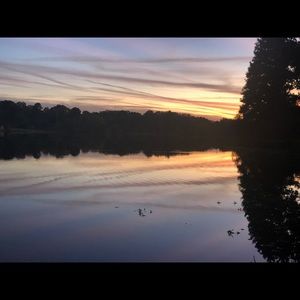 Meet your Posher, Abigail